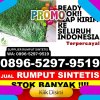 Supplier Rumput Palsu Jeruklegi.jpg