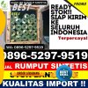 Supplier Rumput Sintetis Banyuates.jpg