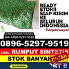 Supplier Rumput Palsu Kabupaten Batu Bara.jpg