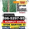 Toko Rumput Plastik Limau.jpg