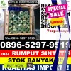 Supplier Rumput Sintetis Basa Ampek Balai Tapan.jpg