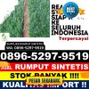 Toko Rumput Plastik Loloda Utara.jpg