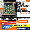 Supplier Rumput Sintetis Batanghari Nuban.jpg