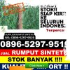 Toko Rumput Plastik Lubuk Linggau Timur I.jpg