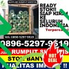 Supplier Rumput Sintetis Batulappa.jpg