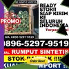 Supplier Rumput Sintetis Belik.jpg