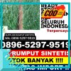 Toko Rumput Plastik Maluk.jpg