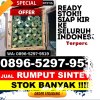 Supplier Rumput Sintetis Benua Lima.jpg