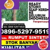 Toko Rumput Plastik Mangoli Tengah.jpg