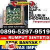 Supplier Rumput Sintetis Bintan Utara.jpg