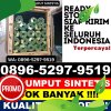 Supplier Rumput Sintetis Boja.jpg