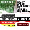 Supplier Rumput Palsu Kadur.jpg