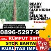 Pusat Rumput Sintetis Muara Tabir.jpg