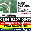 Toko Rumput Plastik Masamba.jpg