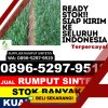 Toko Rumput Plastik Medan Polonia.jpg