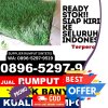 Supplier Rumput Palsu Kangayan.jpg