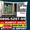 Supplier Rumput Sintetis Buntu Batu.jpg