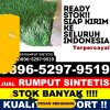 Supplier Rumput Palsu Kayoa Barat.jpg