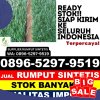 Toko Rumput Plastik Mulak Ulu.jpg