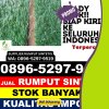 Supplier Rumput Palsu Kemayoran.jpg