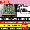 Supplier Rumput Sintetis Cilacap Selatan.jpg