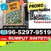 Supplier Rumput Sintetis Cina.jpg