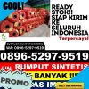 Toko Rumput Plastik Nyuatan.jpg