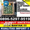 Supplier Rumput Sintetis Dawuan.jpg