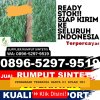 Supplier Rumput Palsu Kota Tangerang Selatan.jpg