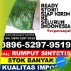 Supplier Rumput Sintetis Dolok Panribuan.jpg