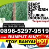 Supplier Rumput Palsu Kramat.jpg