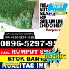 Supplier Rumput Sintetis Dusun Selatan.jpg