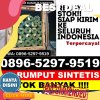 Toko Rumput Palsu Alas Barat.jpg