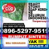 Supplier Rumput Sintetis Gebang.jpg