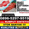 Toko Rumput Plastik Pantan Cuaca.jpg