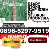 Supplier Rumput Palsu Laham.jpg