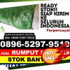 Supplier Rumput Sintetis Gianyar.jpg