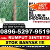 Supplier Rumput Palsu Lantung.jpg