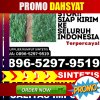 Supplier Rumput Palsu Lelea.jpg