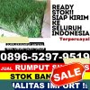 Supplier Rumput Sintetis Ilir Timur Ii.jpg