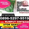 Supplier Rumput Sintetis Jambi Luar Kota.jpg