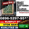 Toko Rumput Palsu Basarang.jpg