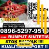 Pusat Rumput Sintetis Rantau Badauh.jpg