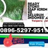 Supplier Rumput Sintetis Jenangan.jpg