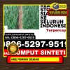 Supplier Rumput Palsu Maos.jpg