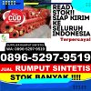 Toko Rumput Plastik Pulau Pulau Batu Timur.jpg