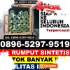 Toko Rumput Palsu Bintang.jpg