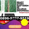 Supplier Rumput Palsu Medan Deli.jpg