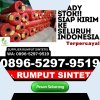 Toko Rumput Plastik Rantepao.jpg