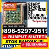 Toko Rumput Palsu Buay Pemaca.jpg